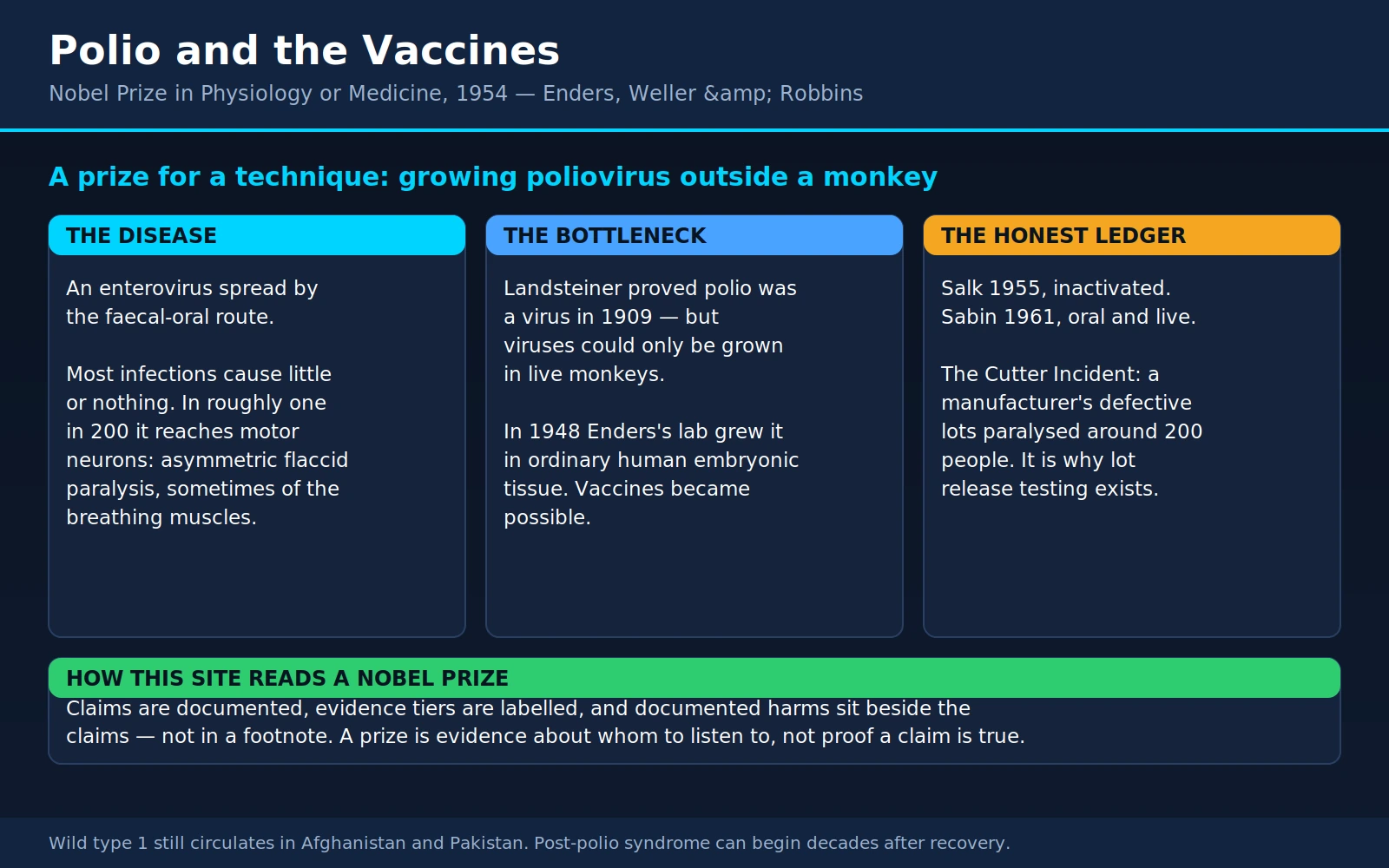 Enders Weller Robbins — scientific infographic poster