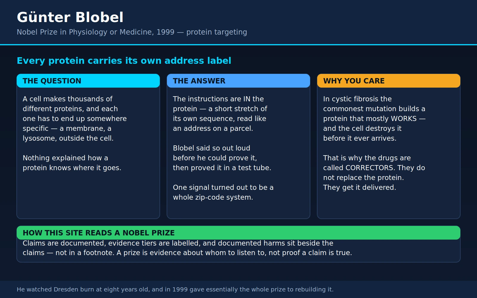 Gunter Blobel — scientific infographic poster