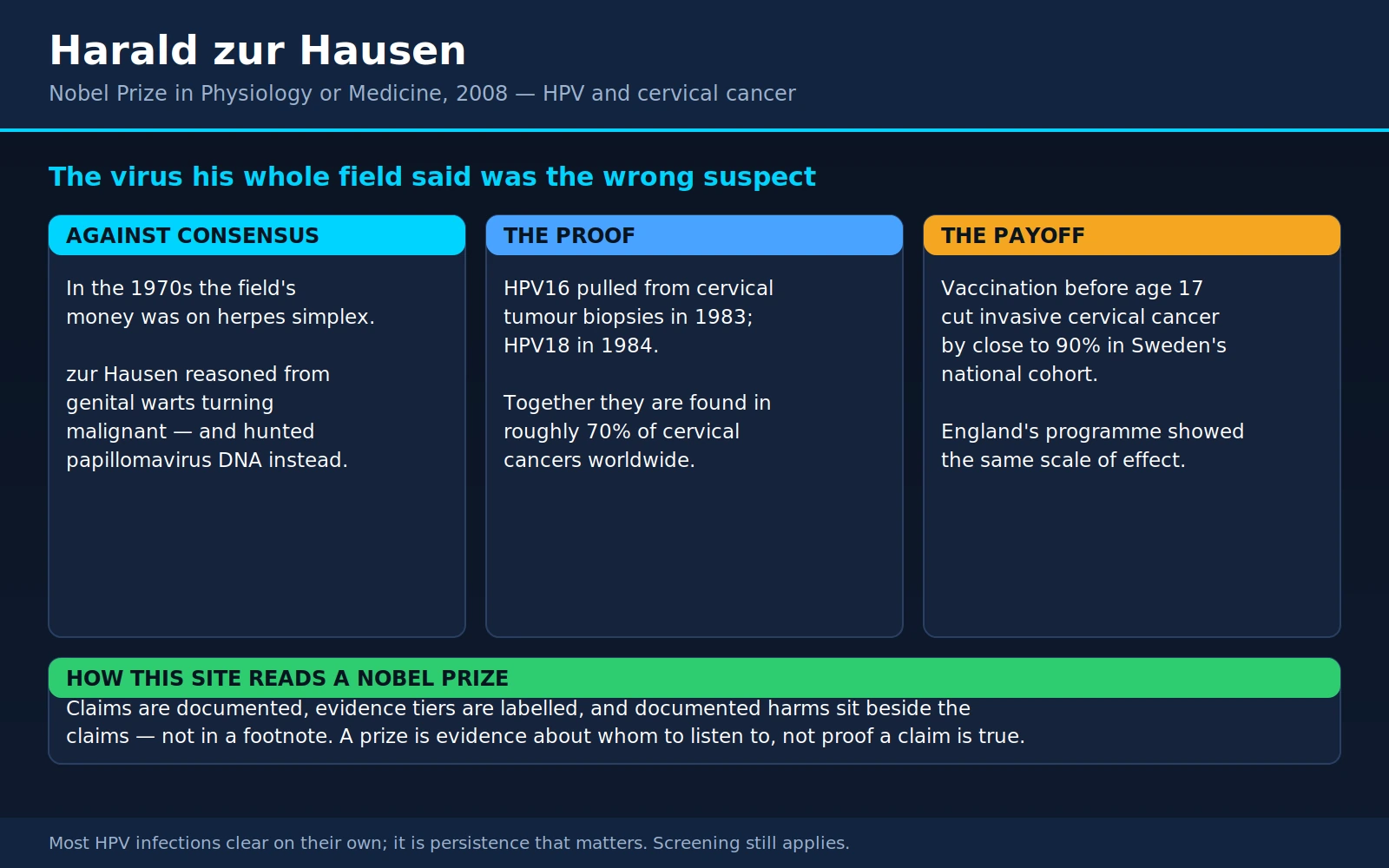Harald zur Hausen — scientific infographic poster