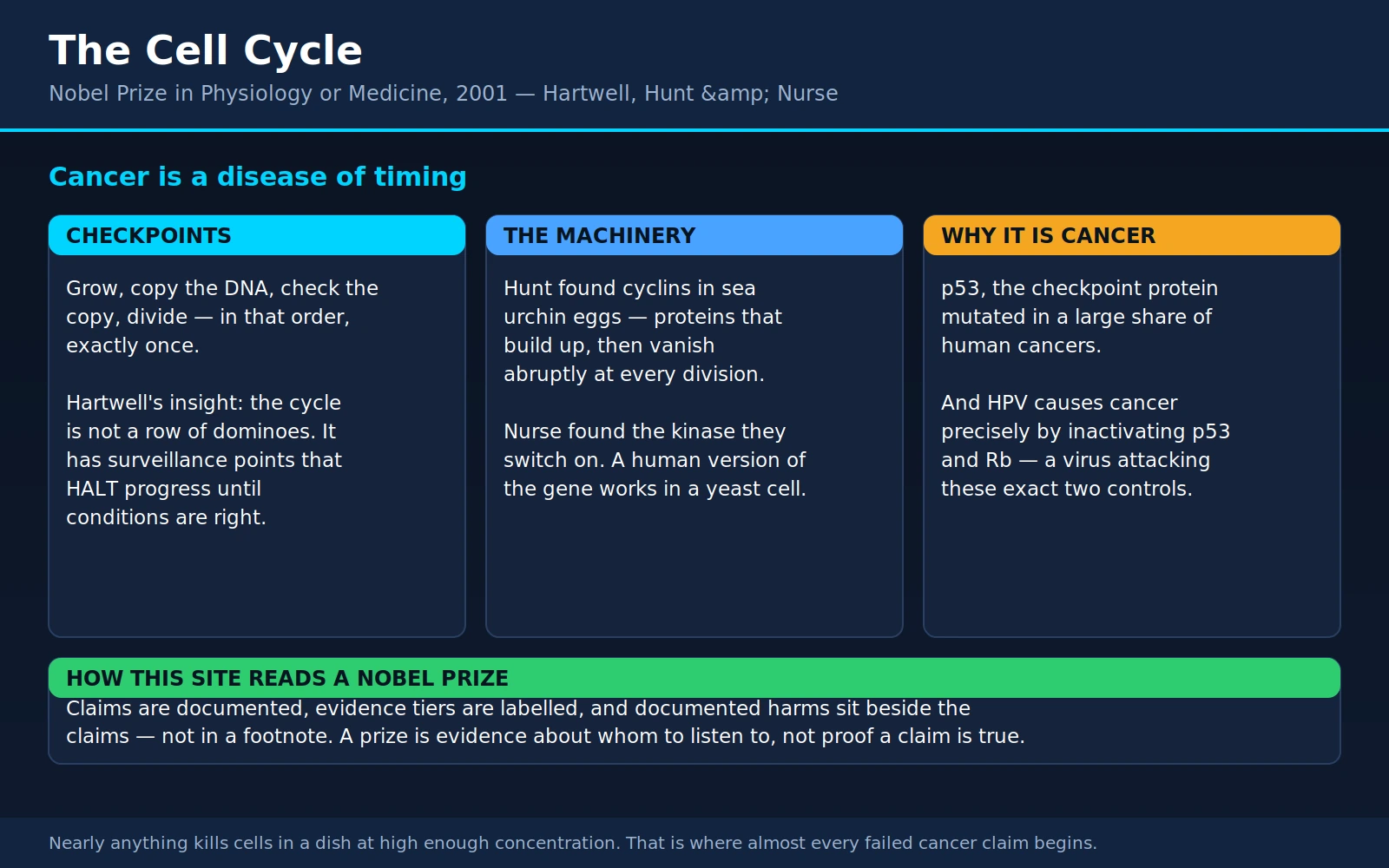 Hartwell Hunt Nurse — scientific infographic poster