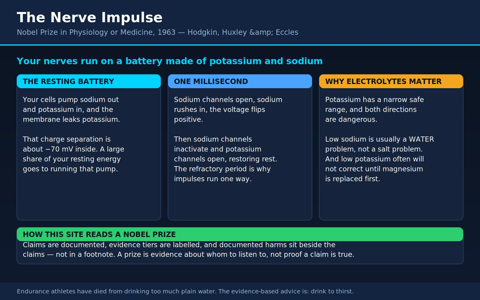 Hodgkin Huxley Eccles — scientific infographic poster