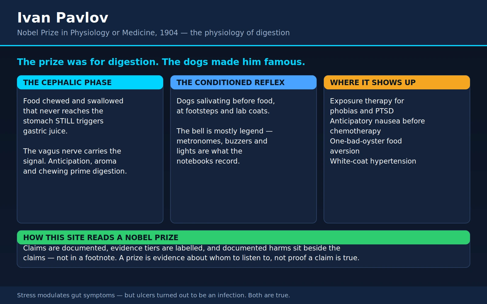Ivan Pavlov — scientific infographic poster