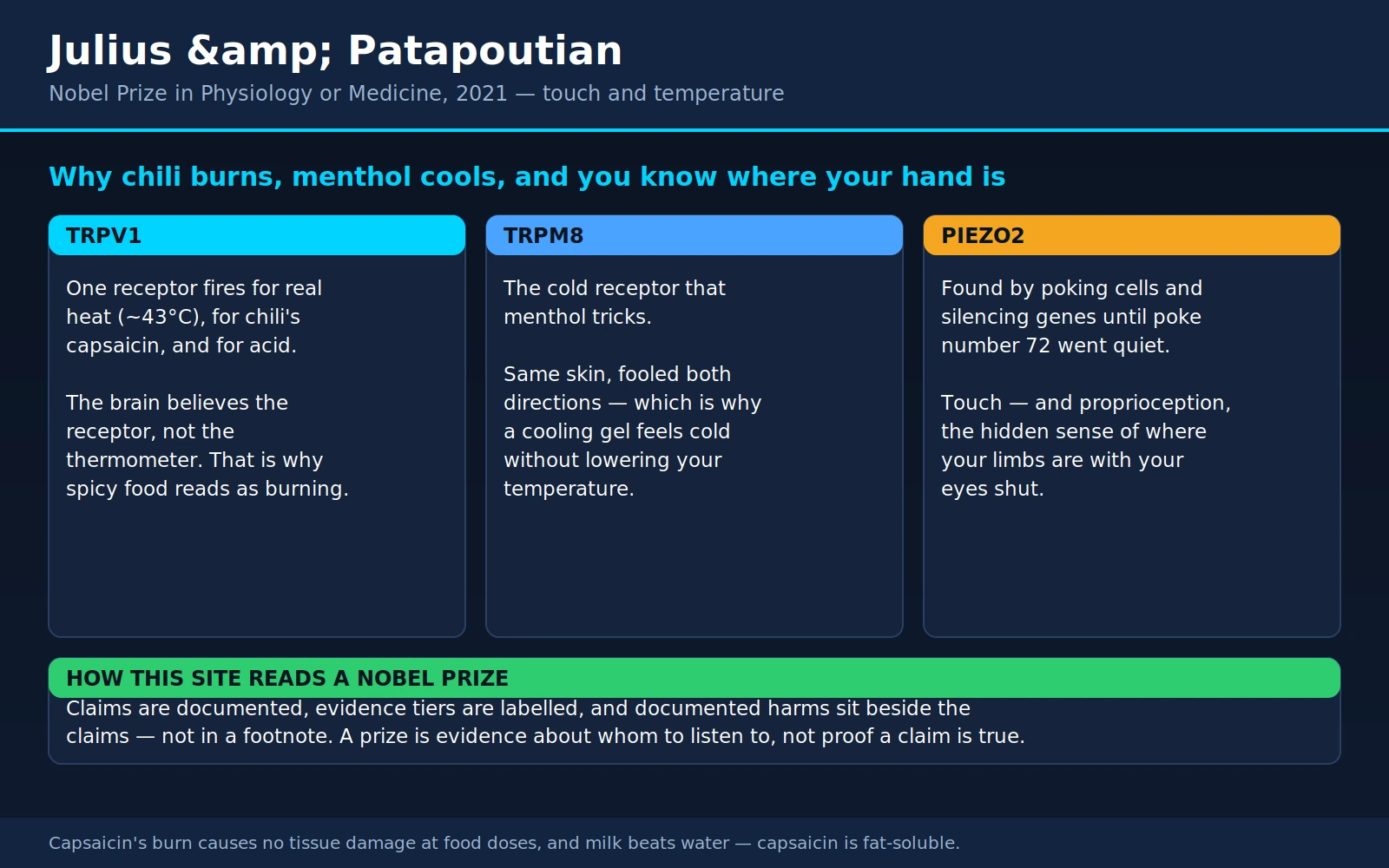 Julius Patapoutian — scientific infographic poster