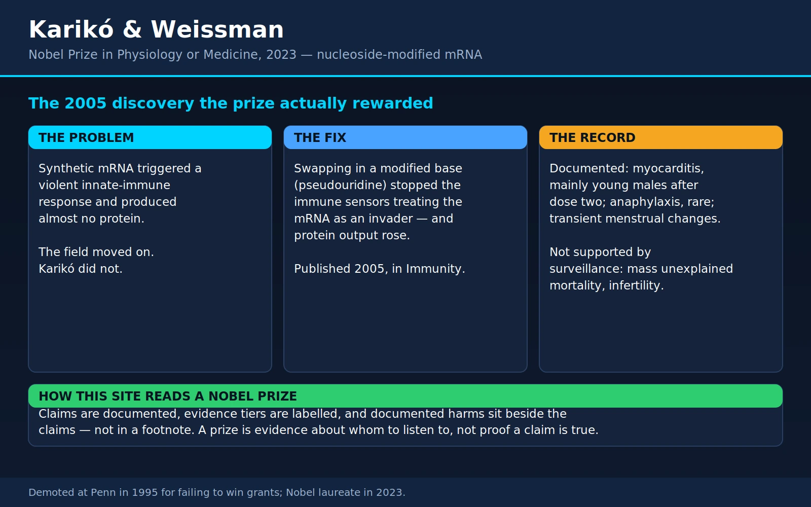 Kariko Weissman — scientific infographic poster