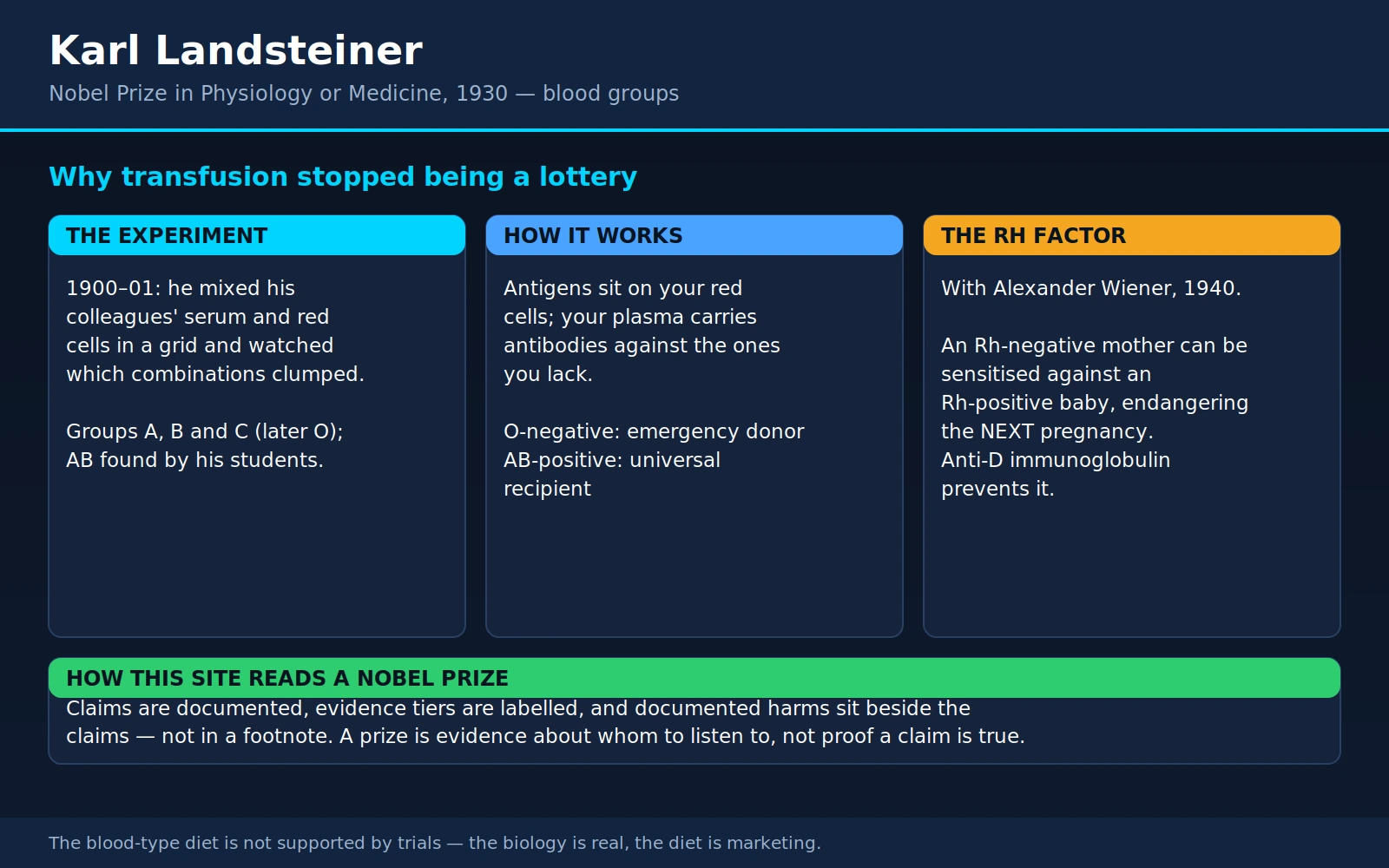 Karl Landsteiner — scientific infographic poster