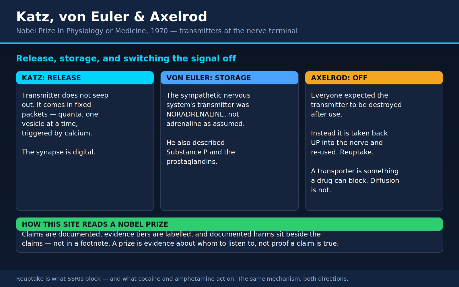 Katz Euler Axelrod — scientific infographic poster