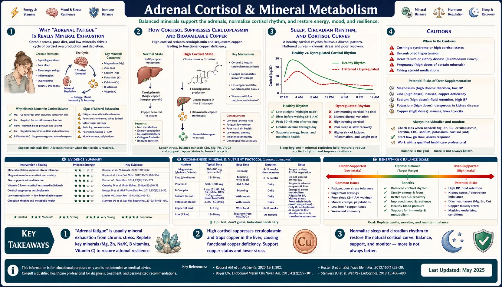 Adrenal Cortisol Mineral Connection — scientific infographic poster