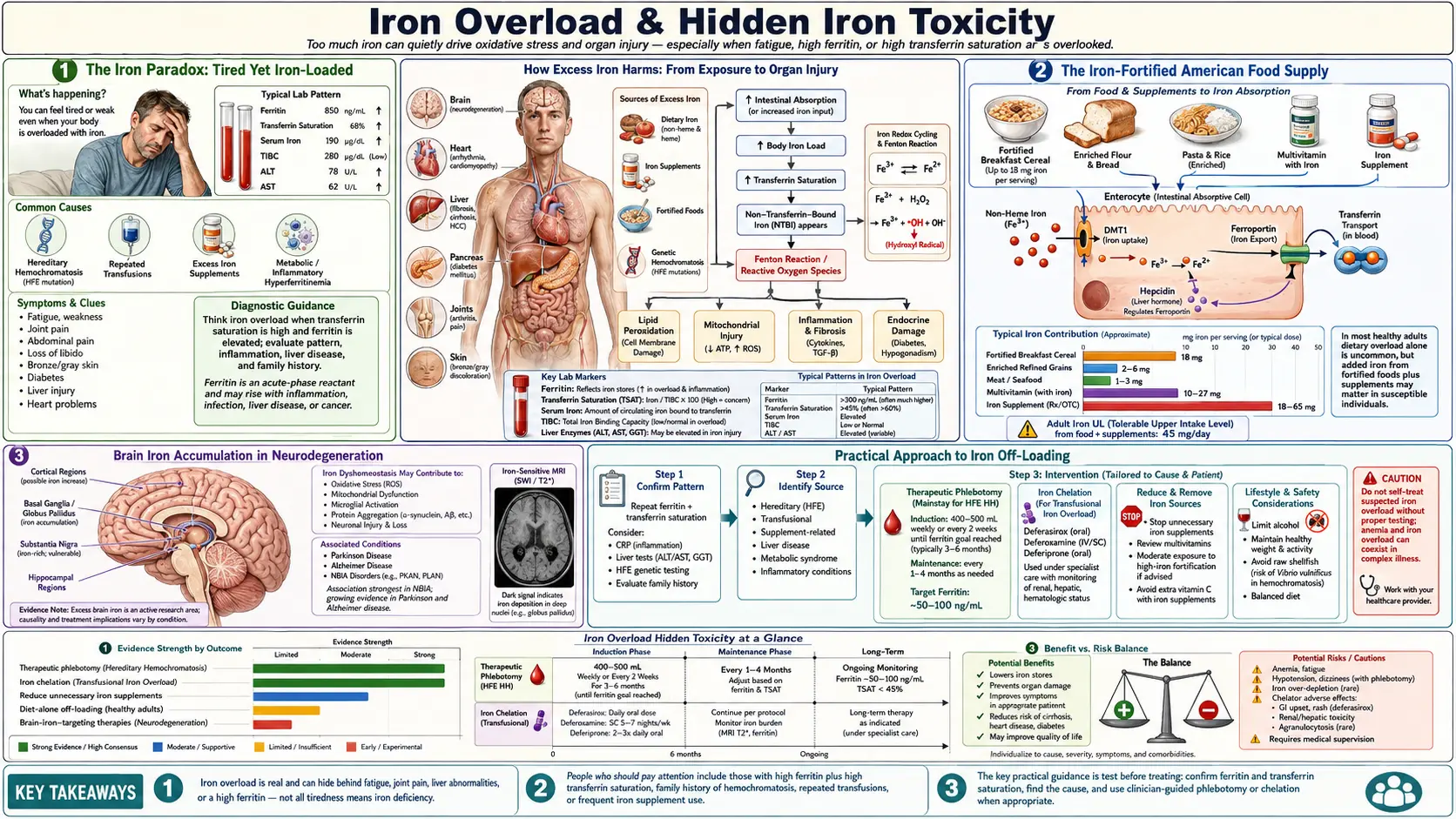 Iron Overload Hidden Toxicity — scientific infographic poster