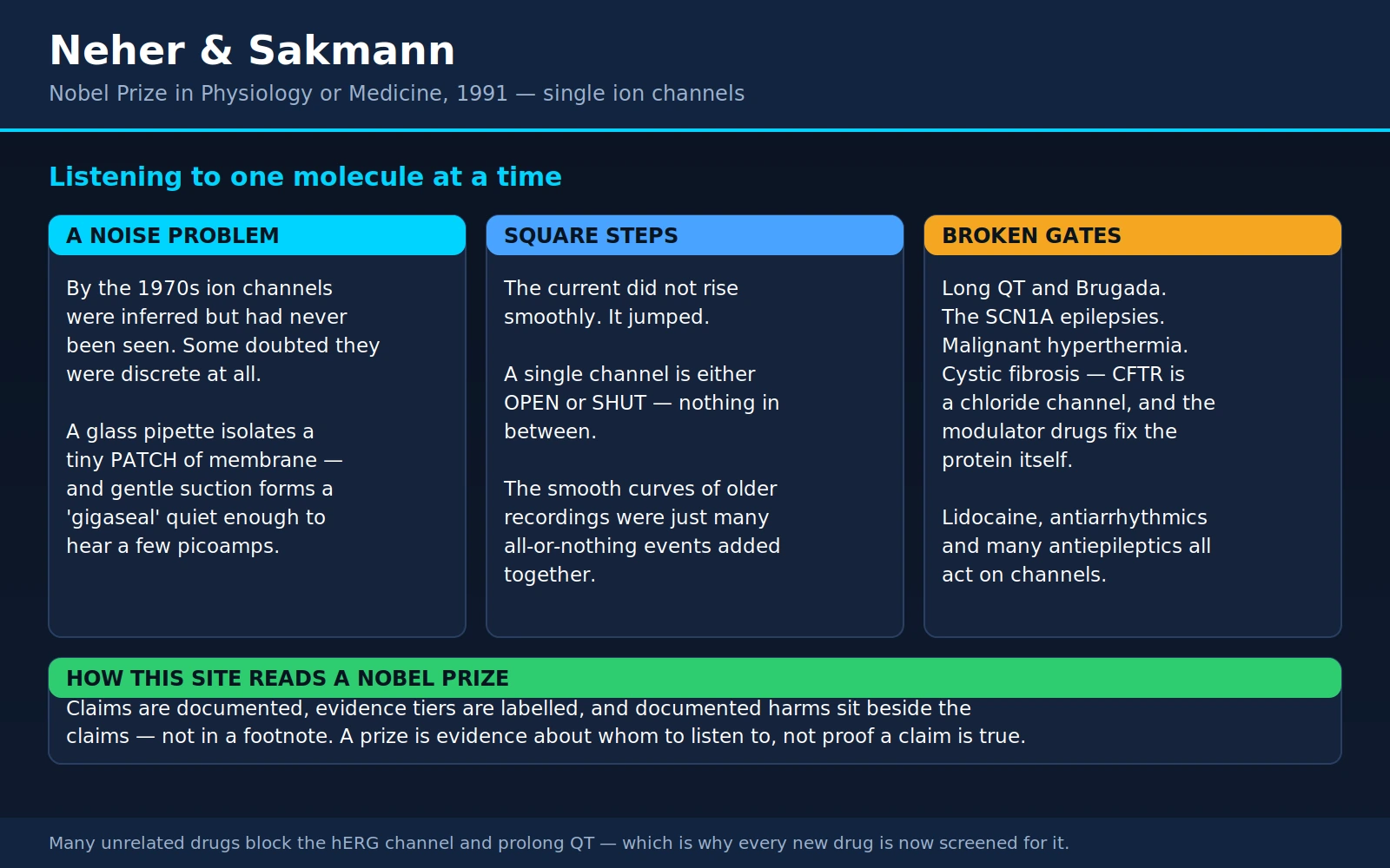 Neher Sakmann — scientific infographic poster