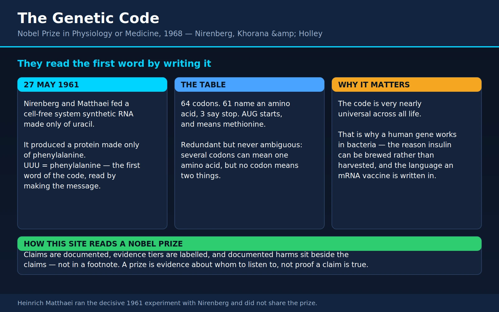 Nirenberg Khorana Holley — scientific infographic poster