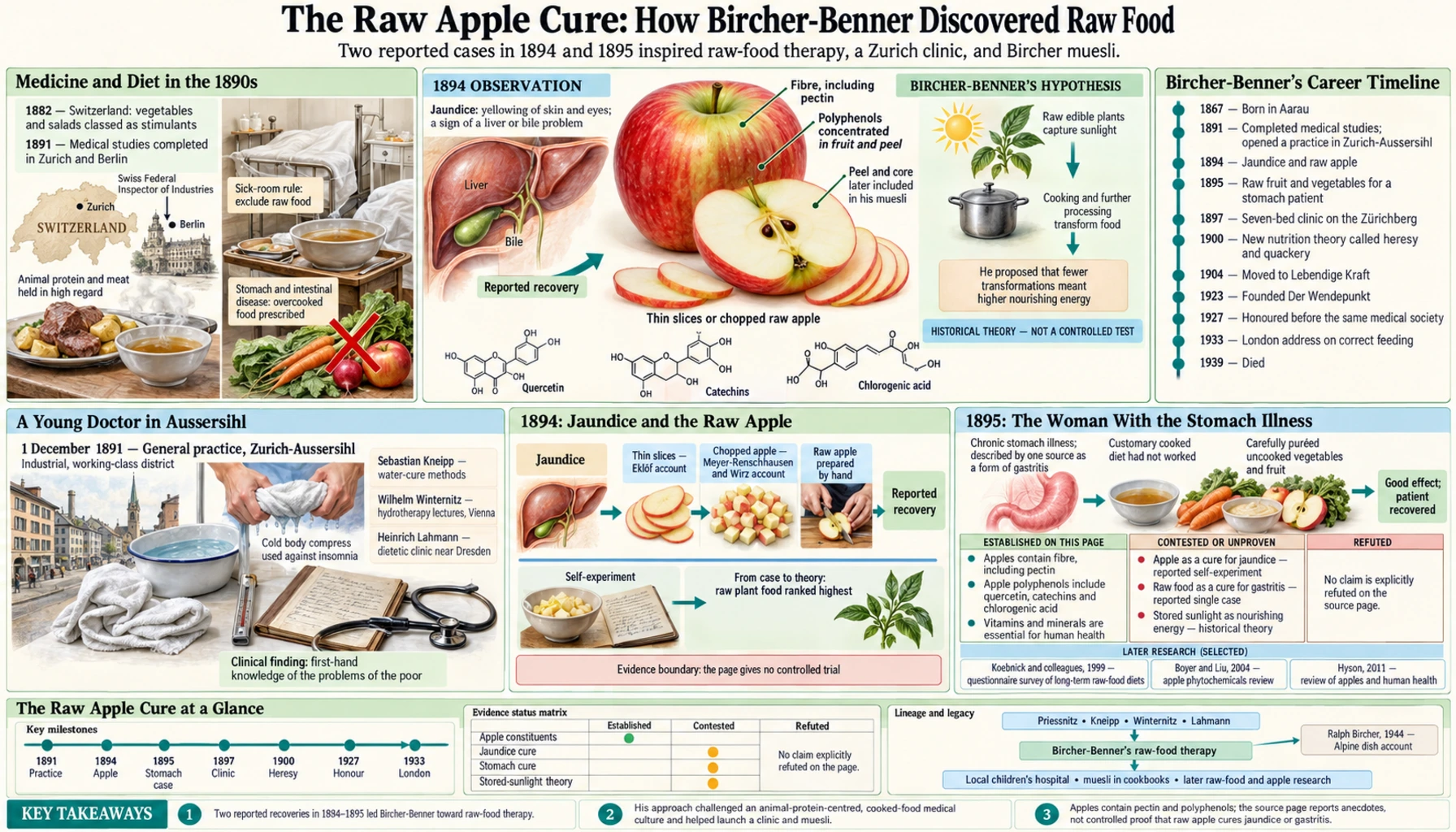 Jaundice and the Raw Apple — scientific infographic poster