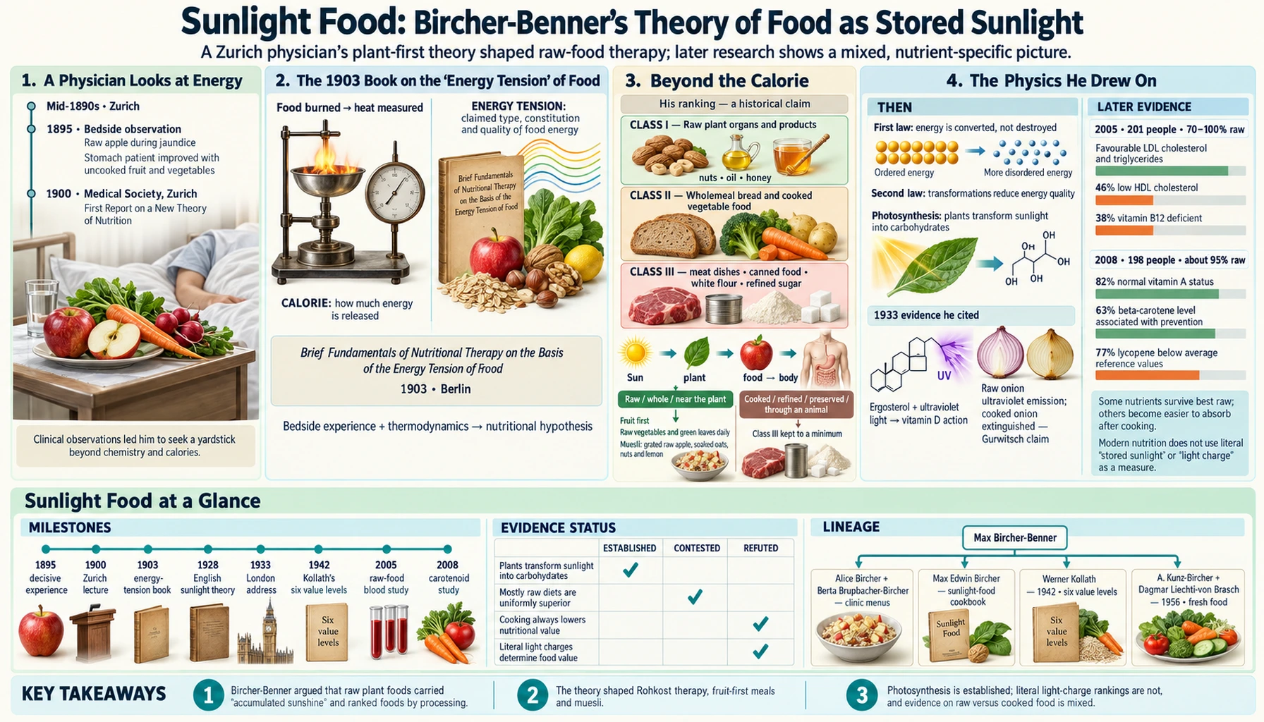 Sunlight Energy Theory — scientific infographic poster