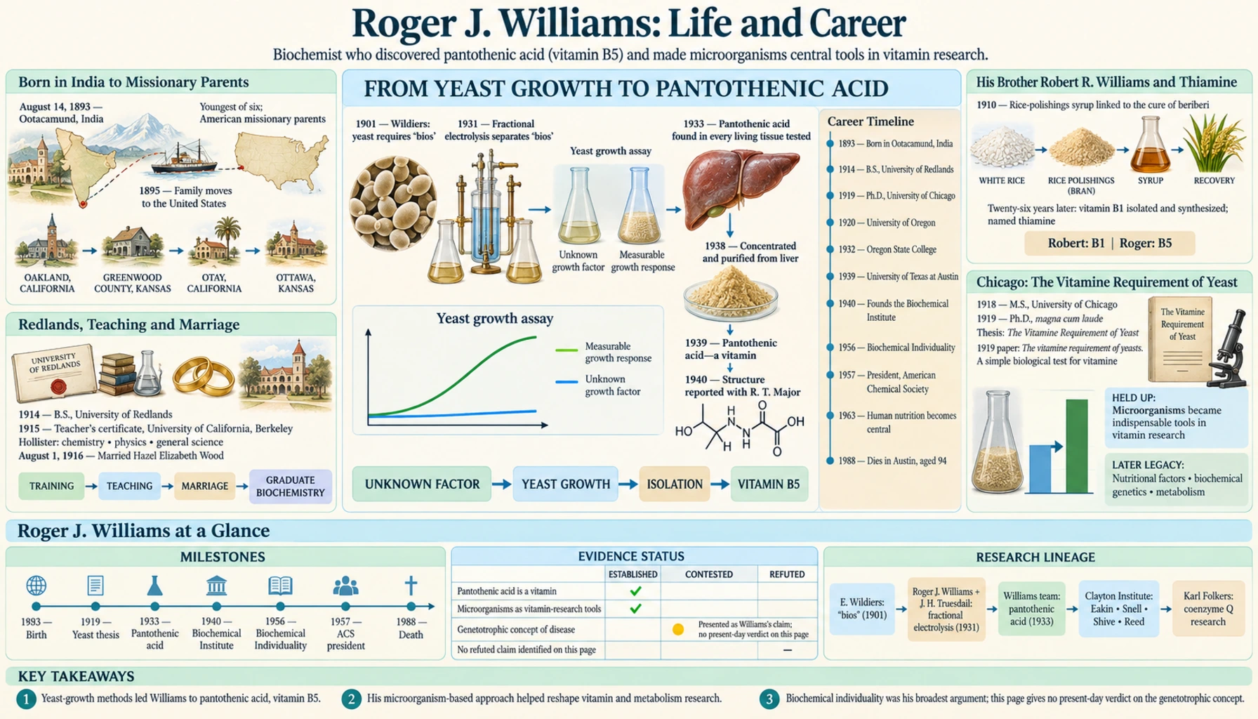 Life and Career — scientific infographic poster
