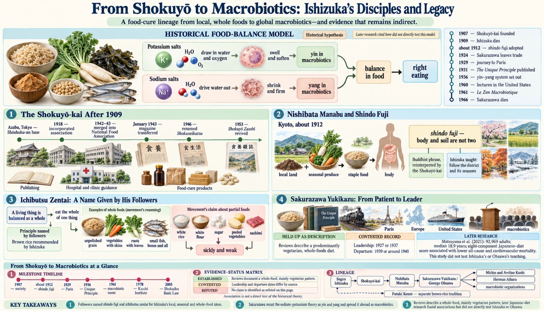 Macrobiotics Legacy — scientific infographic poster