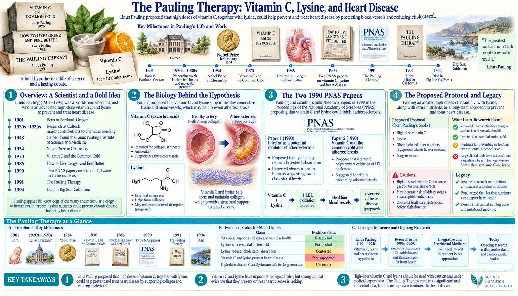 Heart Disease and Lysine — scientific infographic poster