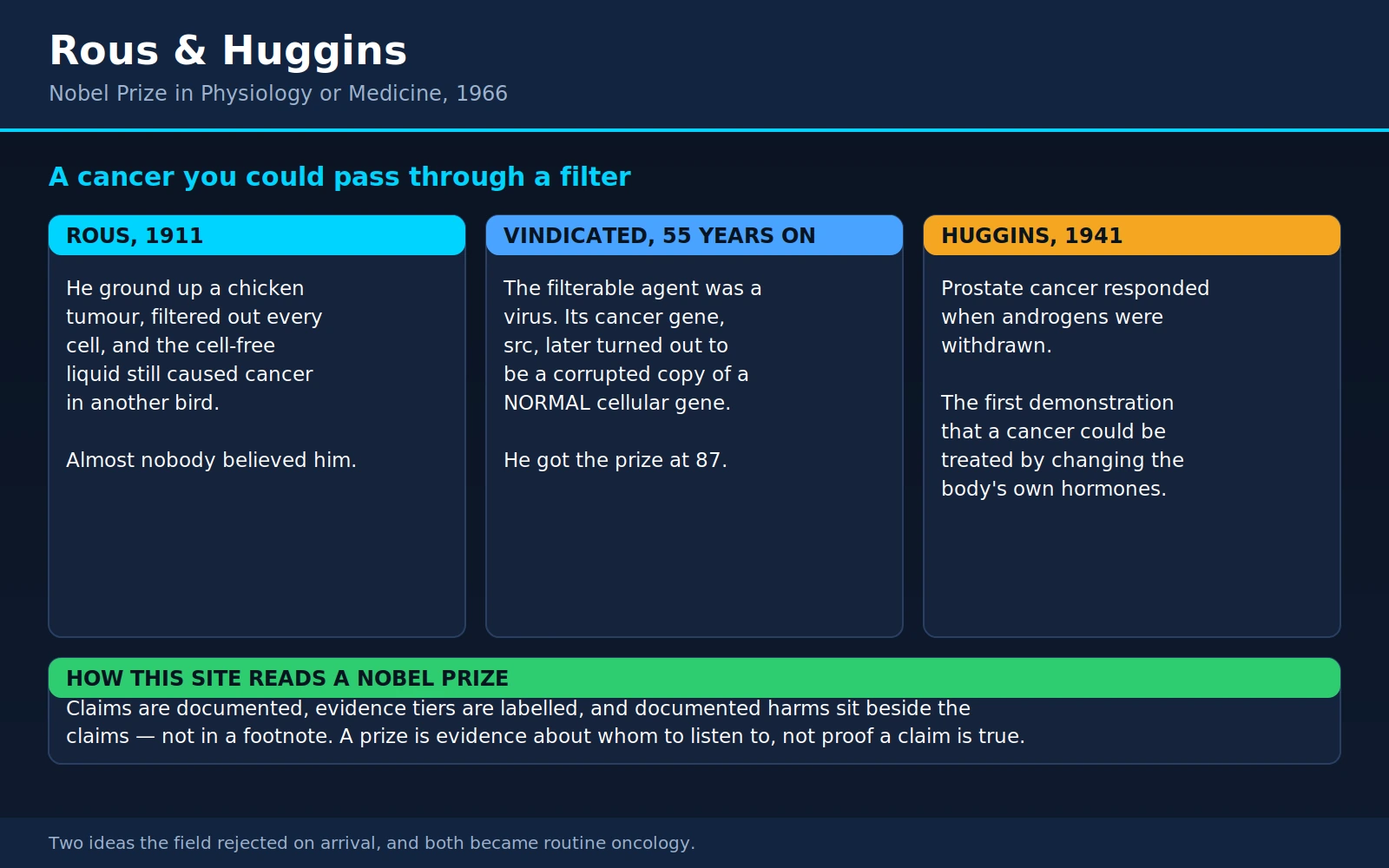 Rous Huggins — scientific infographic poster