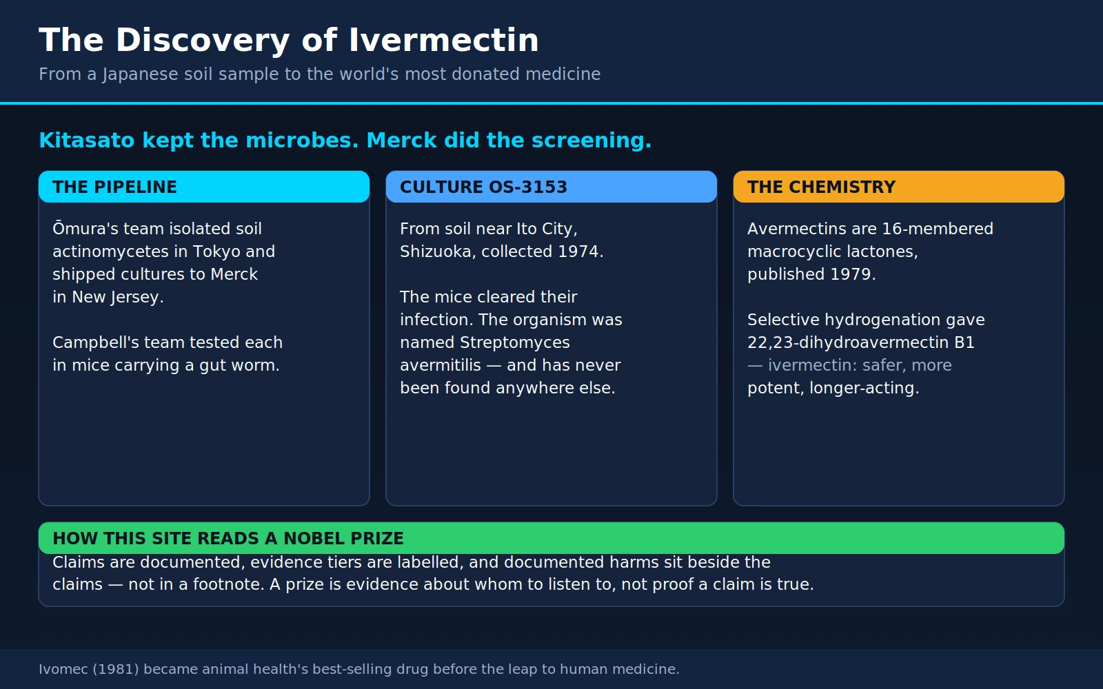 Ivermectin Discovery — scientific infographic poster