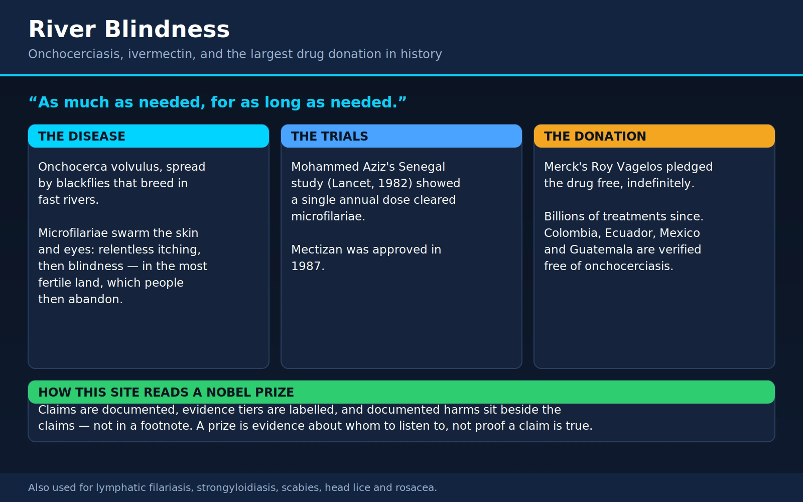River Blindness Global Health — scientific infographic poster