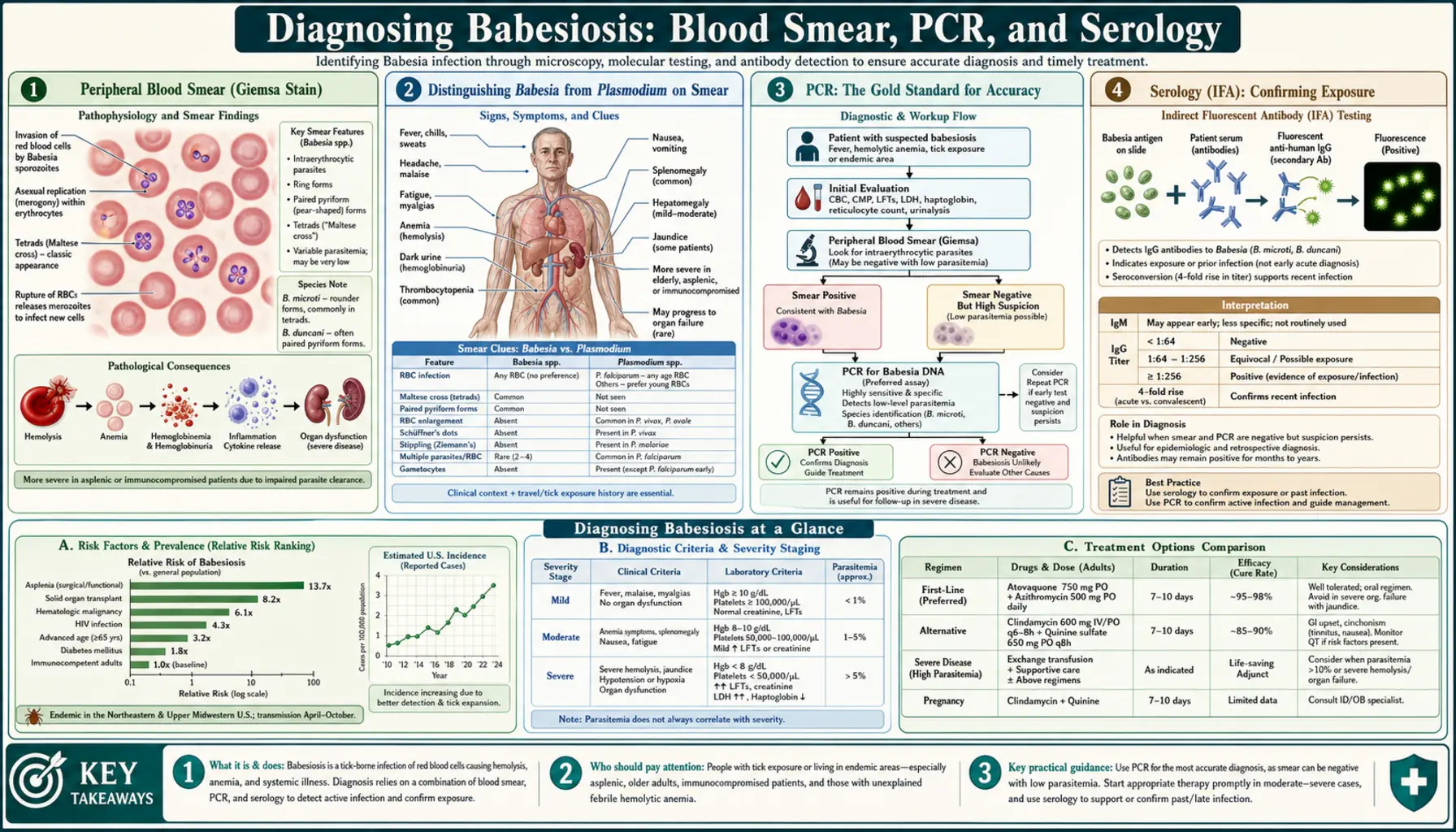 Diagnosis Blood Smear and polymerase chain reaction — scientific infographic poster