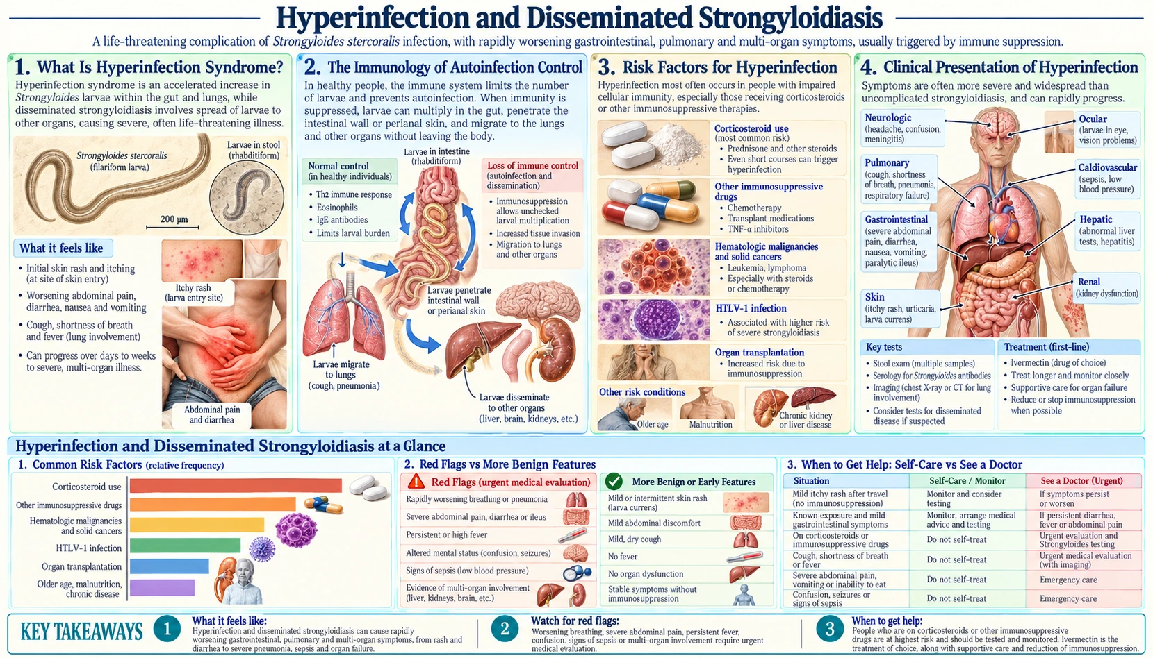 Hyperinfection and Dissemination — scientific infographic poster