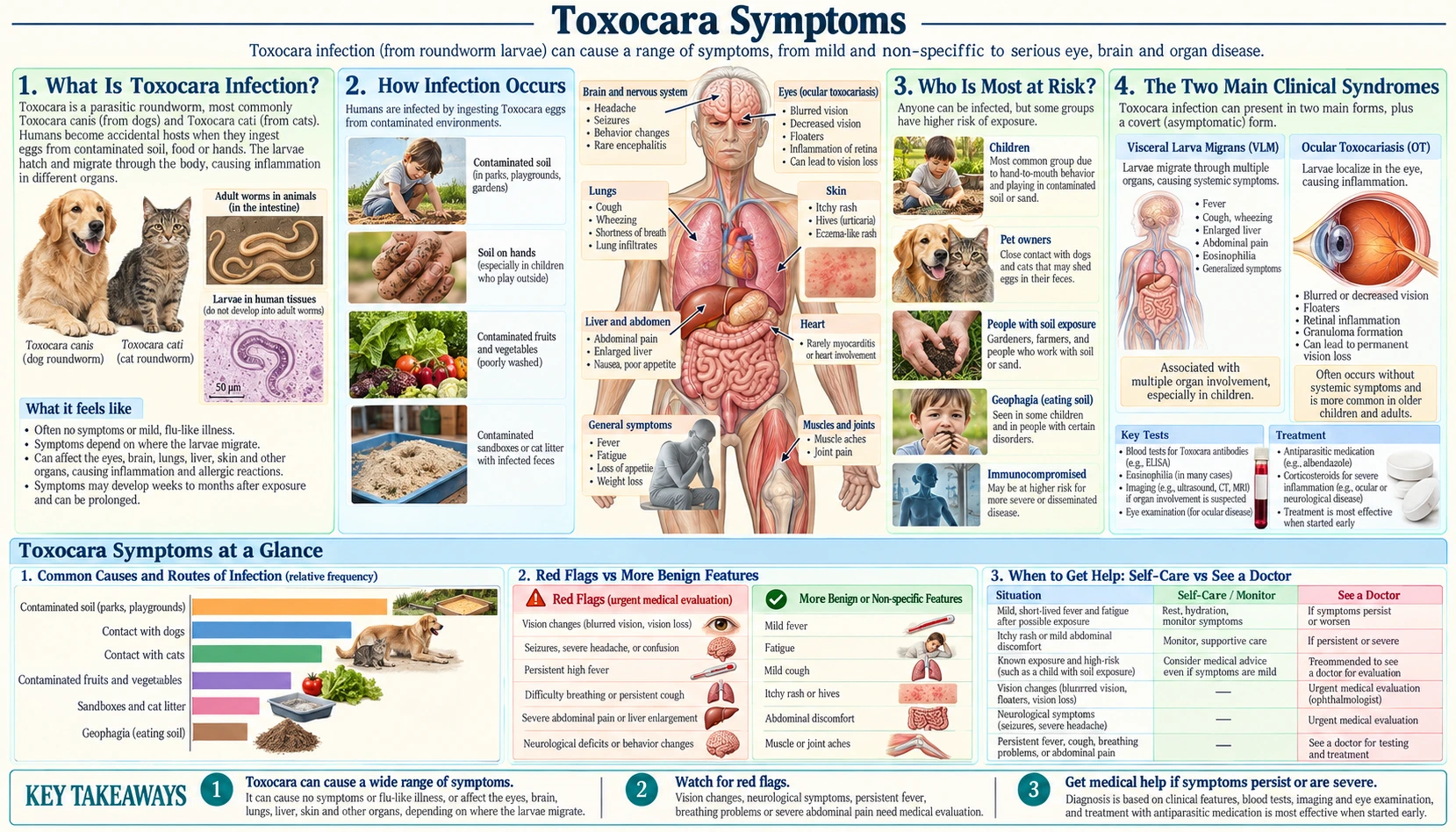 Symptoms — scientific infographic poster
