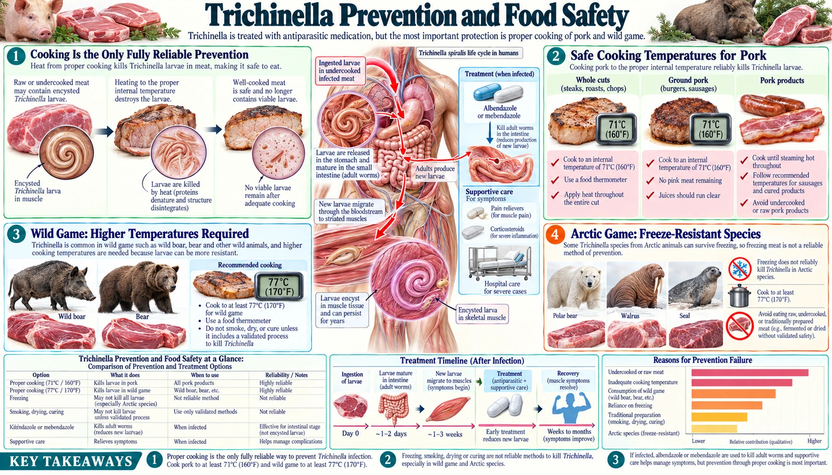 Prevention and Food Safety — scientific infographic poster