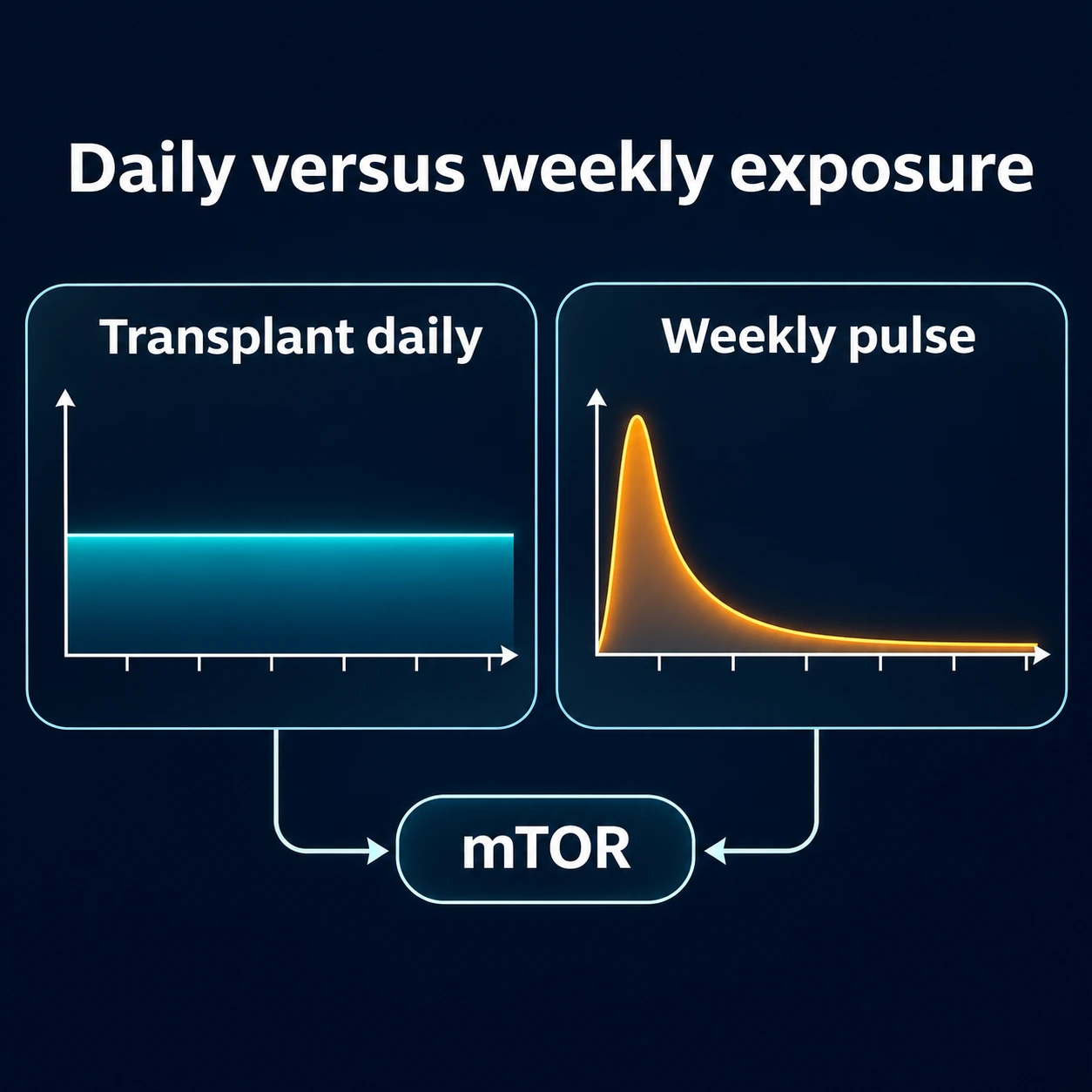 Infographic: continuous daily exposure compared with a weekly pulse