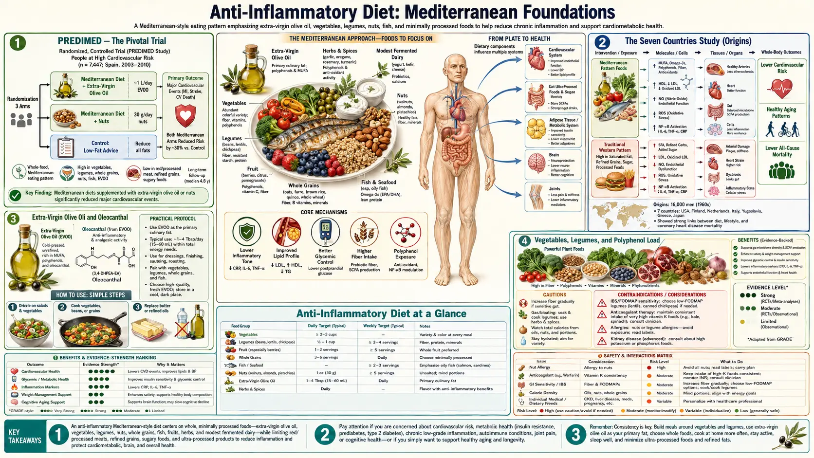 Mediterranean Foundations — scientific infographic poster