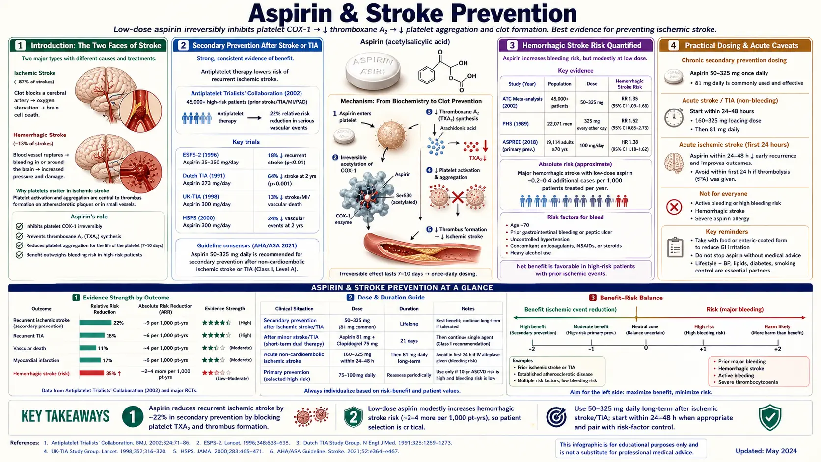 Stroke Prevention — scientific infographic poster