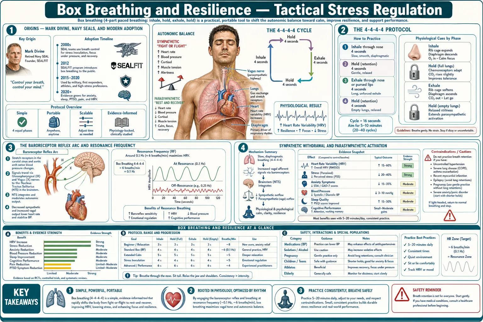Box Breathing and Resilience — scientific infographic poster