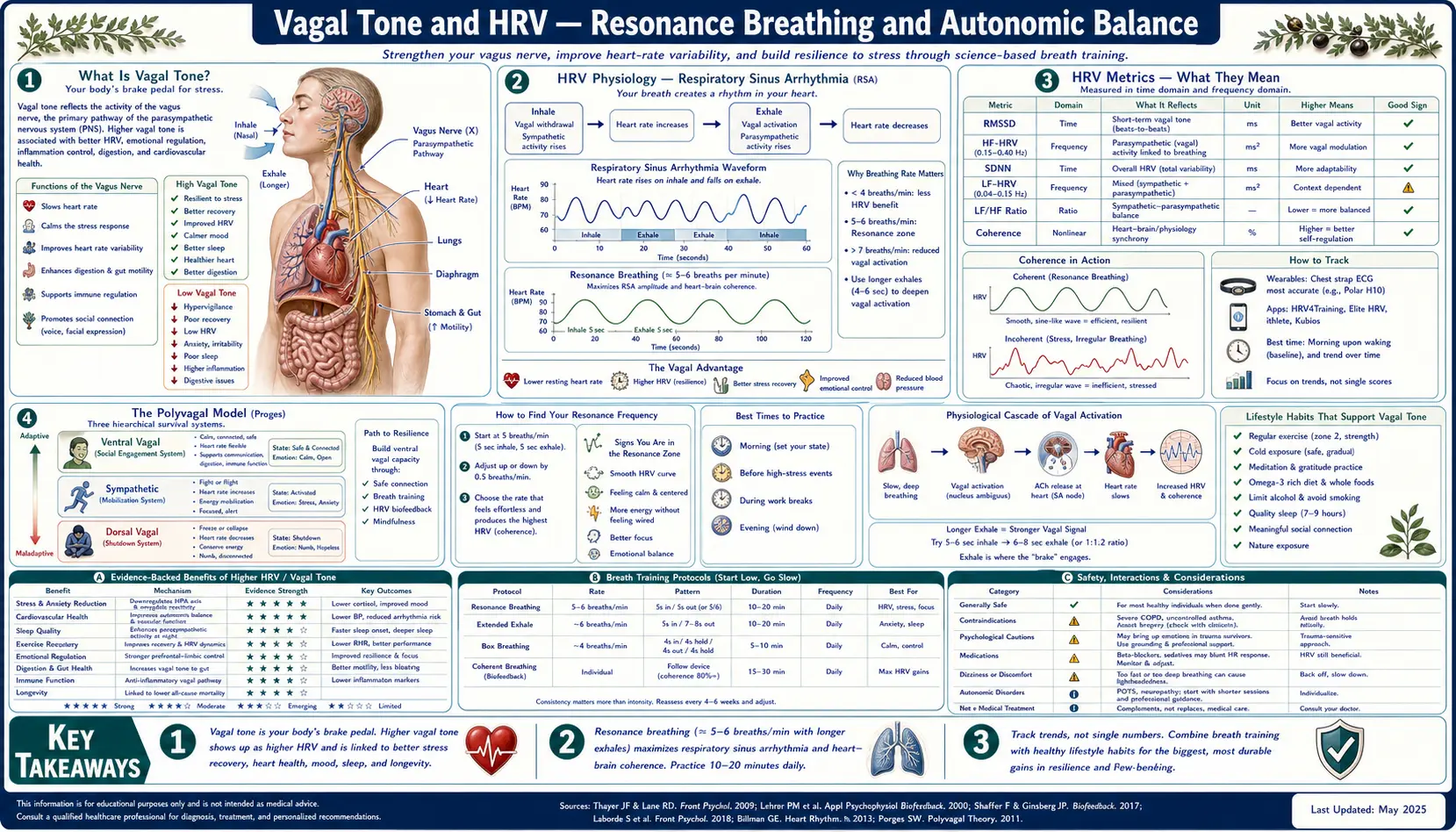 Vagal Tone and HRV — scientific infographic poster