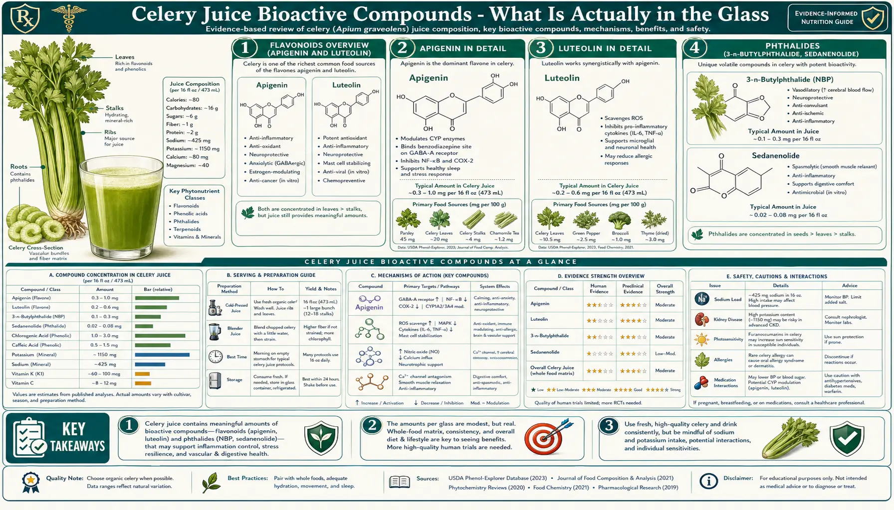 Bioactive Compounds — scientific infographic poster