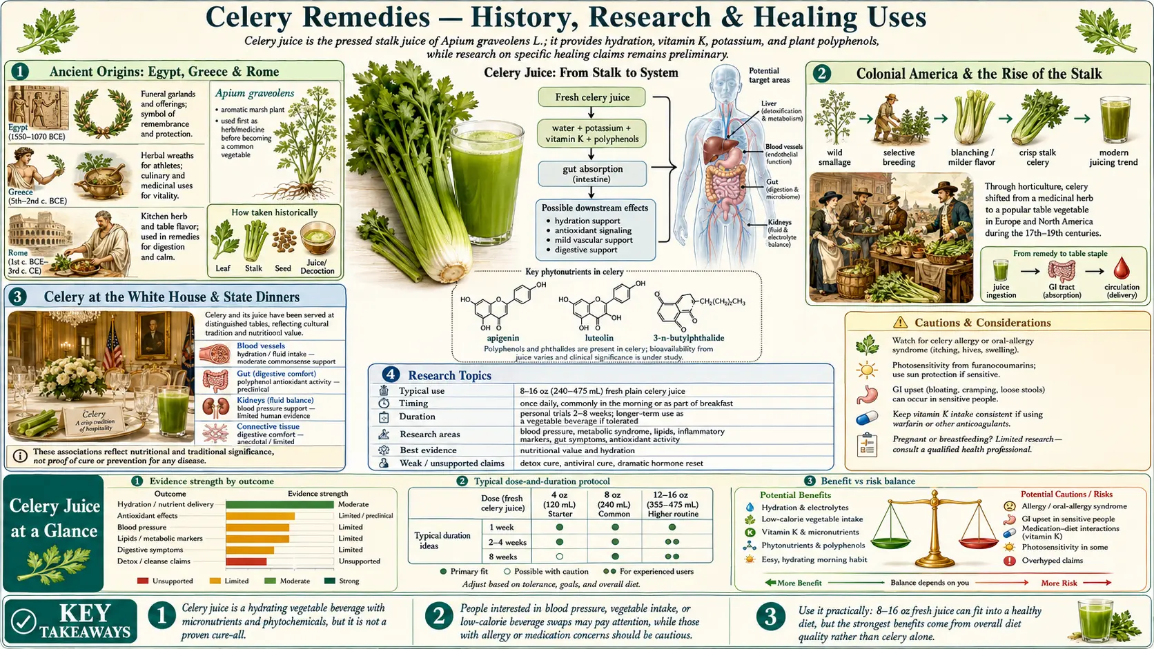 Celery Juice — scientific infographic poster
