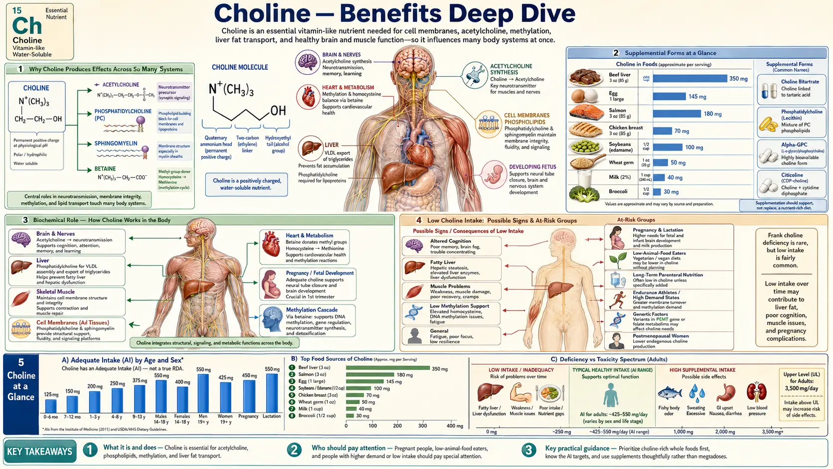 Magnesium and Electrolytes — scientific infographic poster