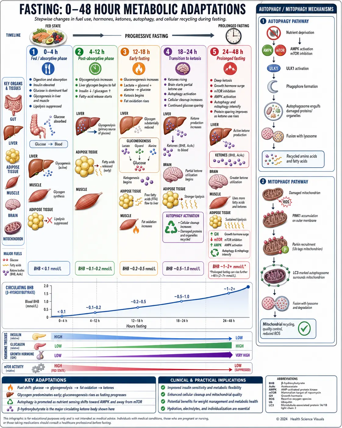 Fasting metabolic switch