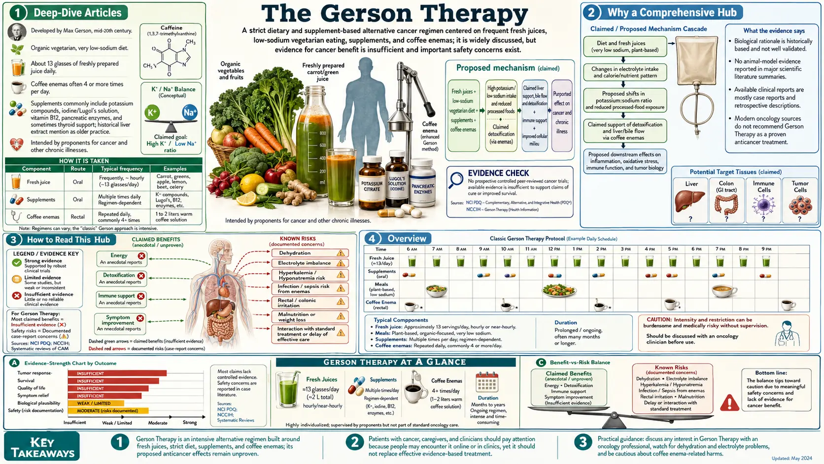 Gerson Therapy — scientific infographic poster