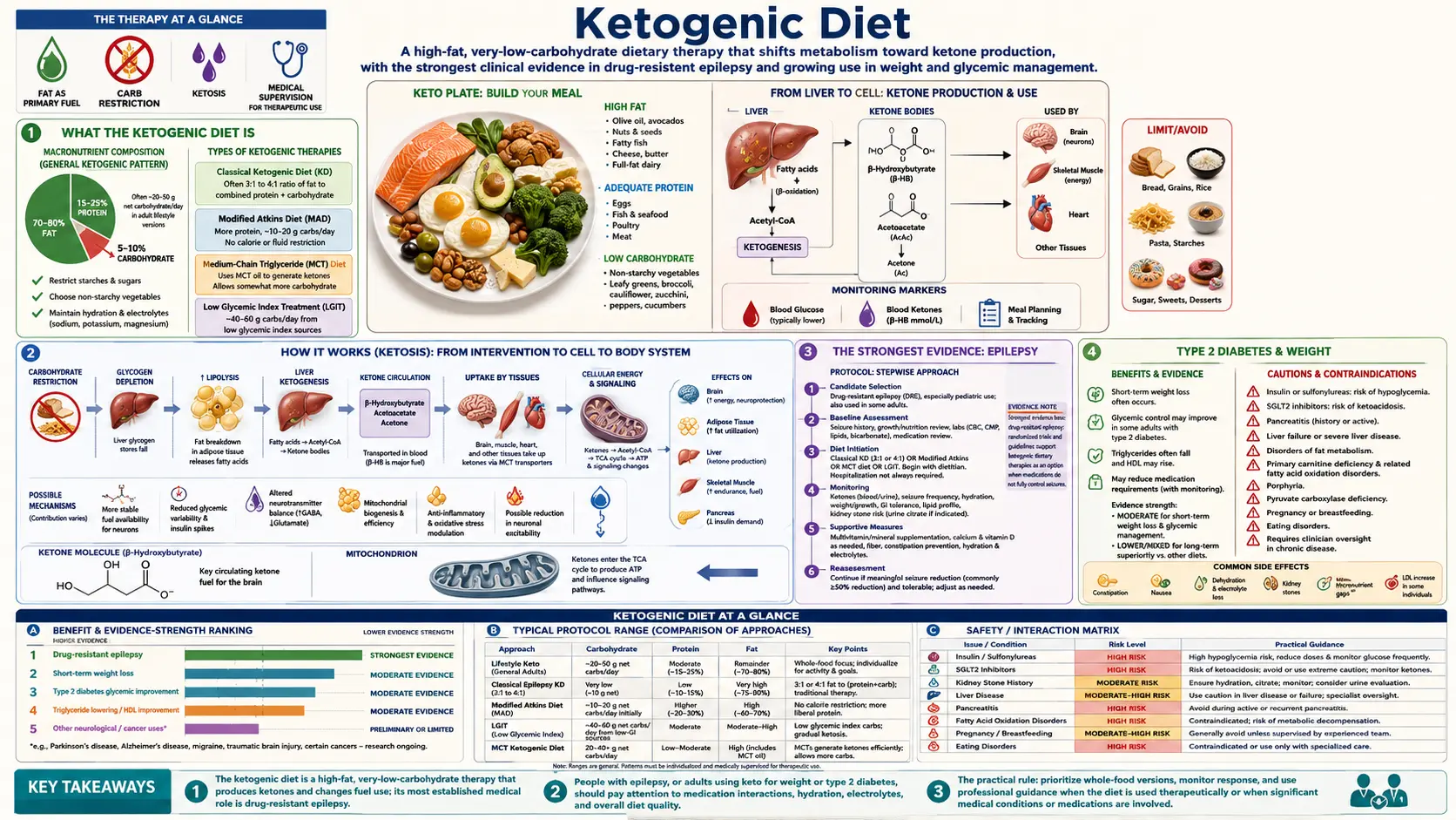 Ketogenic Diet — scientific infographic poster