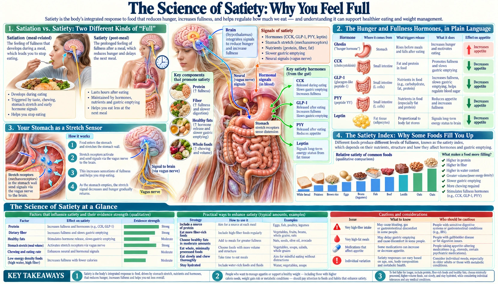 The Science of Satiety — scientific infographic poster