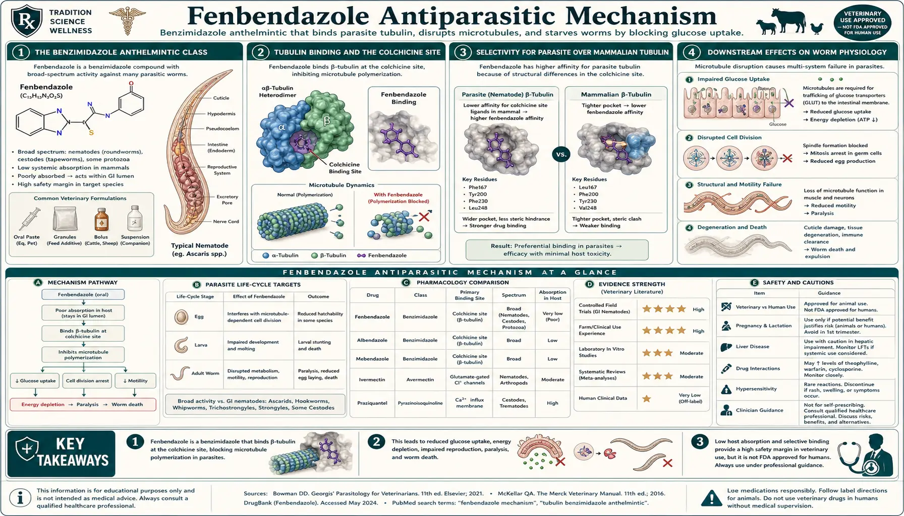 Antiparasitic Mechanism — scientific infographic poster