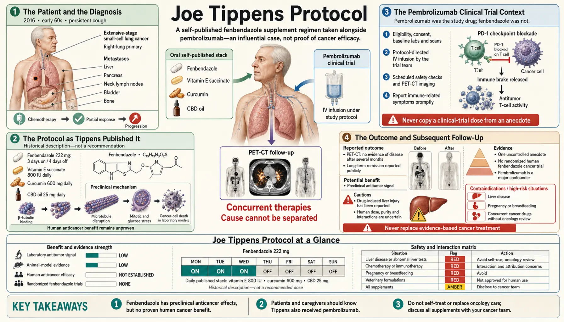 Joe Tippens Protocol — scientific infographic poster