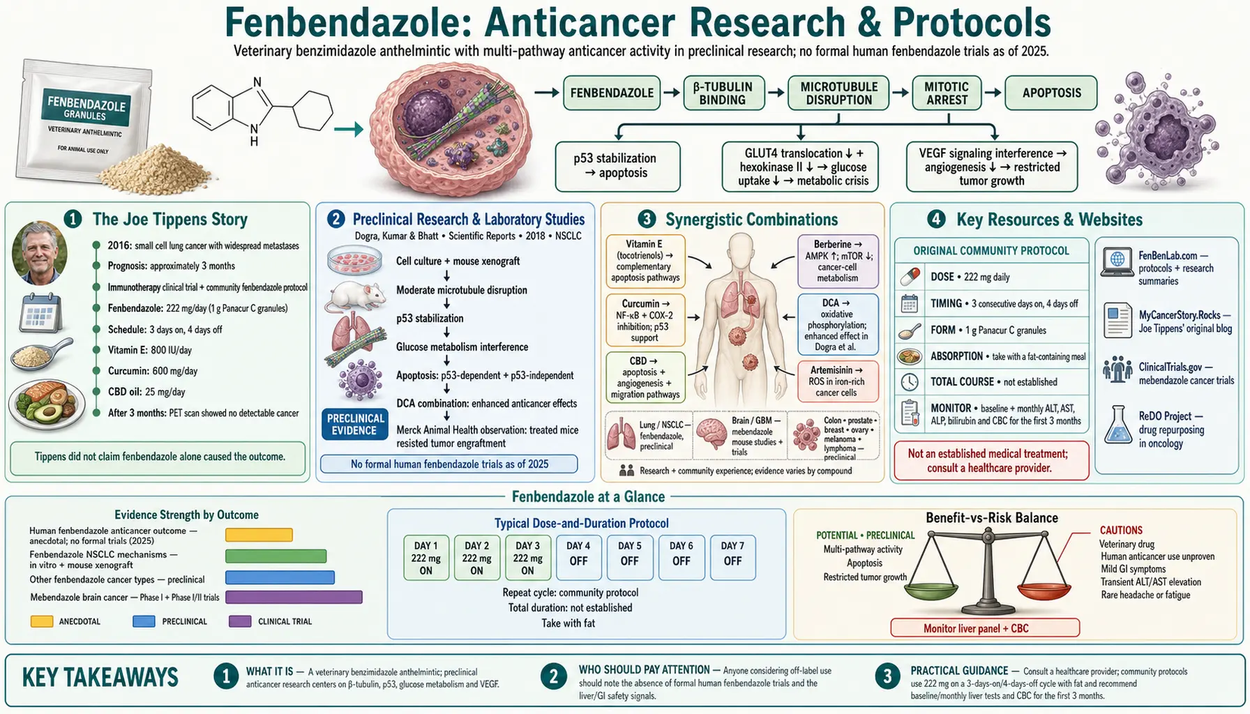 Fenbendazole — scientific infographic poster