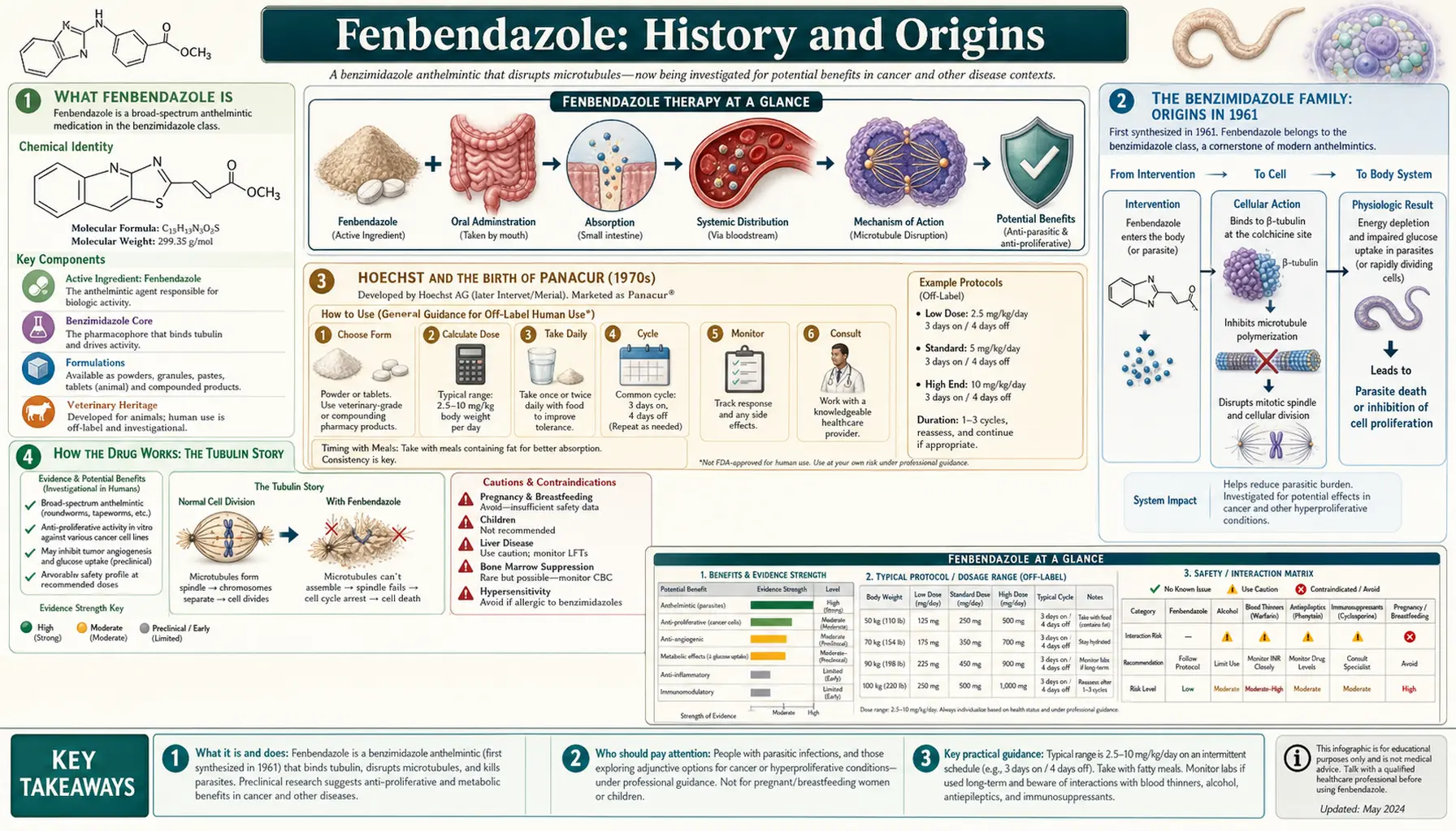 History — scientific infographic poster