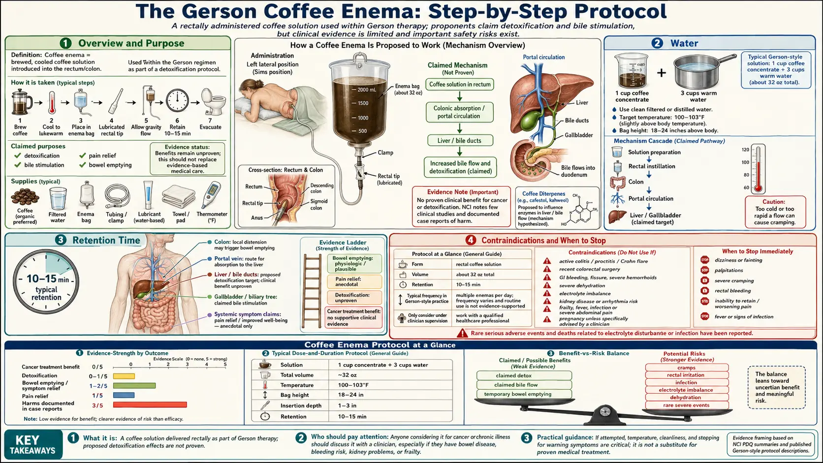 Coffee Enema Protocol — scientific infographic poster