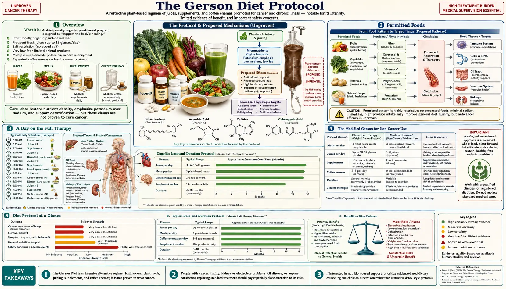 Diet Protocol — scientific infographic poster