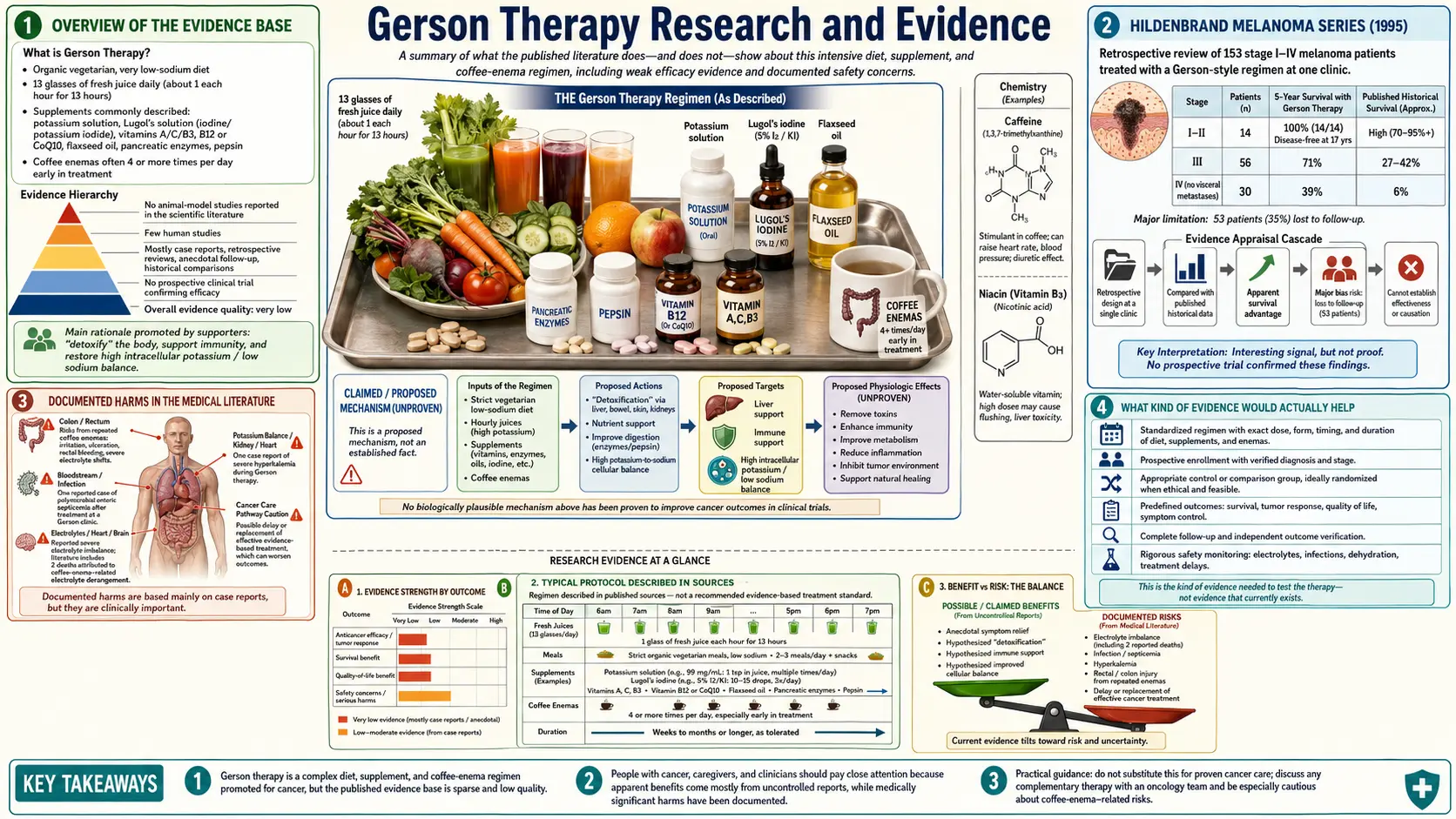 Research Evidence — scientific infographic poster