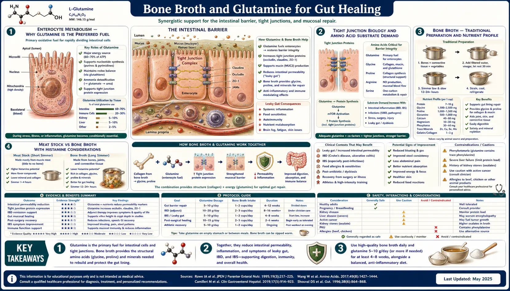 Bone Broth and Glutamine — scientific infographic poster