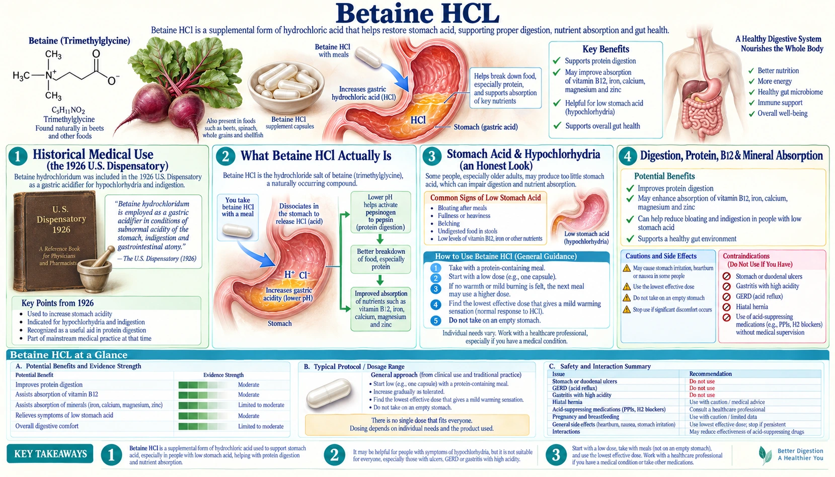 Betaine HCL — scientific infographic poster