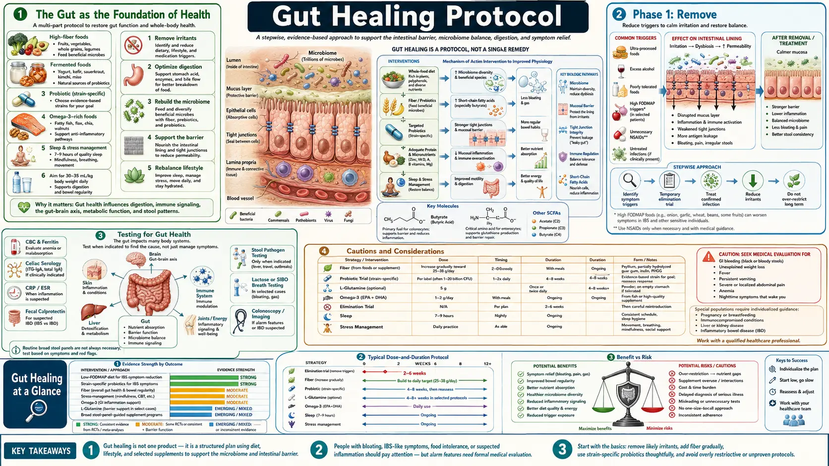 Gut Healing — scientific infographic poster