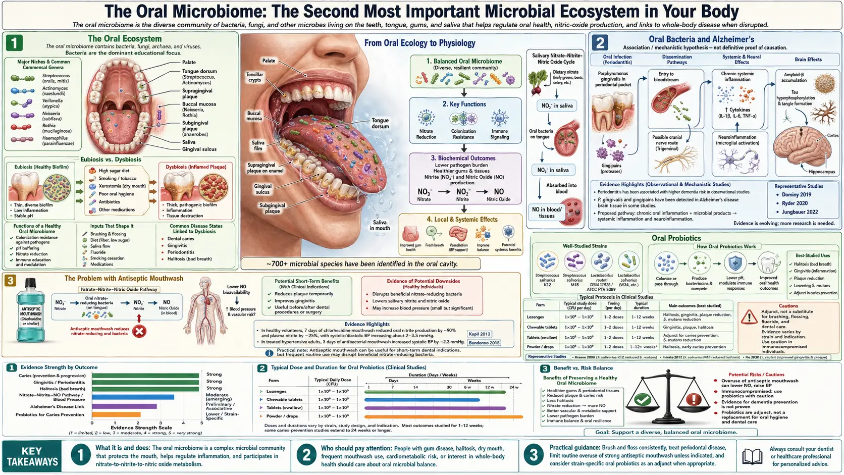 Oral Microbiome — scientific infographic poster