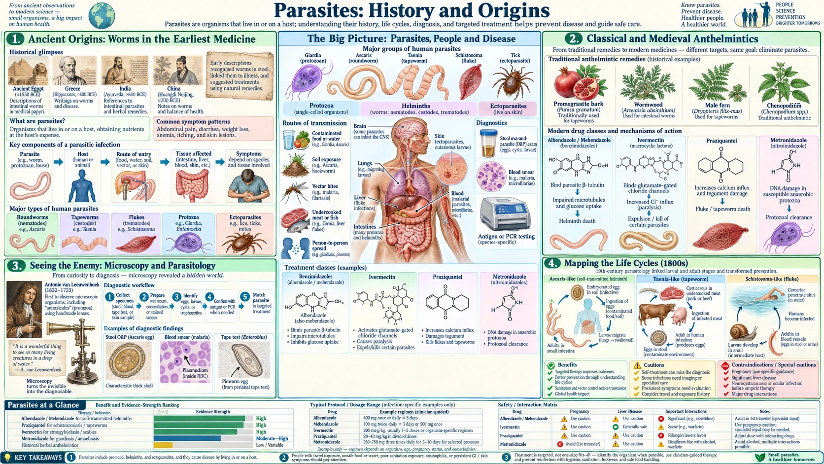 History — scientific infographic poster